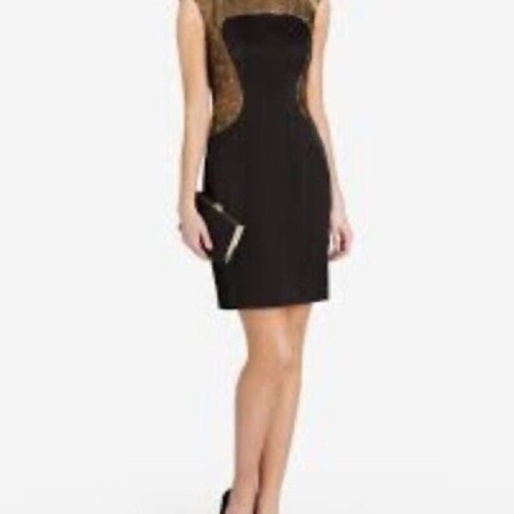 Ted Baker Curved Sequin Bodice Dress